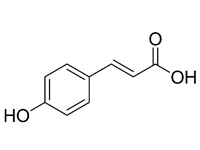 對羥基肉桂<em>酸</em>，98%（HPLC）